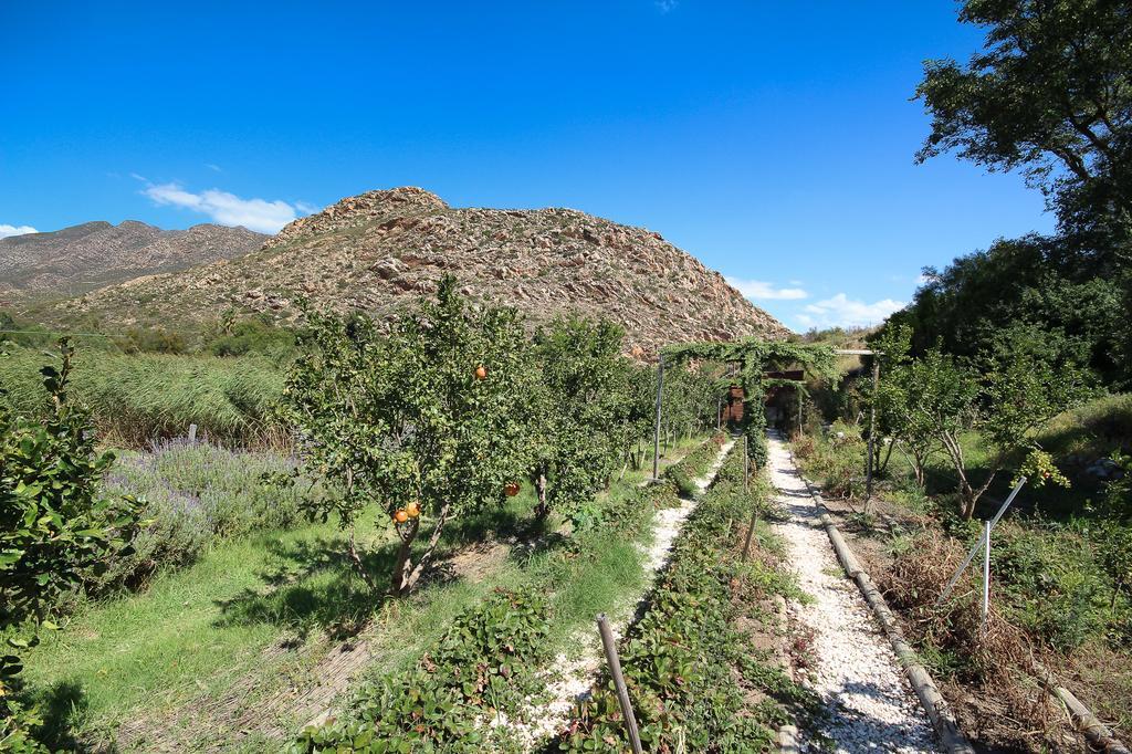 Kogman & Keisie Guest Farm Villa Montagu Exterior photo